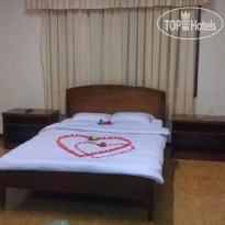 Dandelion Hotel 