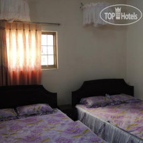 Phuong Tung Guesthouse