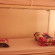 Tiny Tigers Hostel 