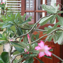 Phong Lan Guesthouse