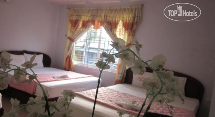 New photos from tourists Valentine Hotel 2*