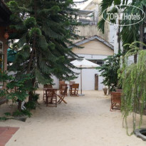 Oasis Bar And Hostel 