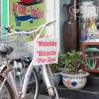 Nhat Thanh Guesthouse 