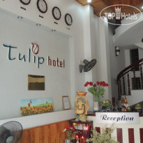 Tulip Hotel 