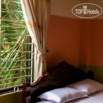 Nhu Hien 2 Guesthouse 