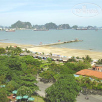 Cong Doan