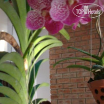 Flower Garden Homestay
