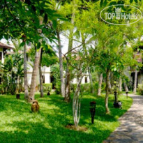 Hoi An Riverside