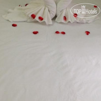 Tri House Guesthouse  