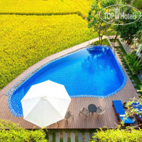 Sunkissed Paddy Hoi An Villa