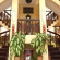 Vinh Hung-2 