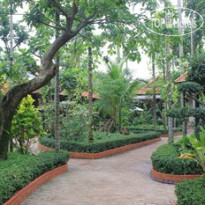 Betel Garden Homestay - Vuon Trau 