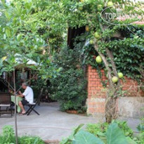 Betel Garden Homestay - Vuon Trau 