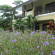 The Nature Villas & Resort 