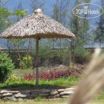 The Nature Villas & Resort