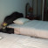 Viet Anh Hotel Номера