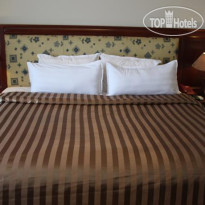 Minh Toan Hotel 
