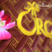 Orchid Hotel Da Nang