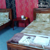 Tien Thanh 2 Guesthouse Номер