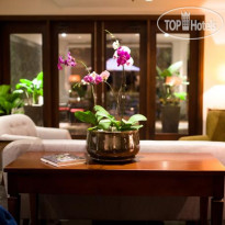 Dan Oasis Hotel And Apartment 