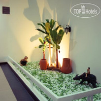Amanda Hotel