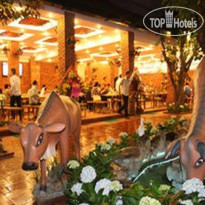 Ngoi Nha Xanh Hotel