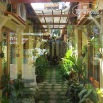 Lien Tho Guesthouse 