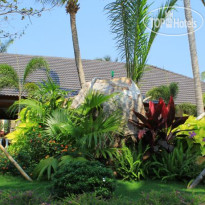 Orange Resort 