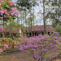 The Garden House Phu Quoc 