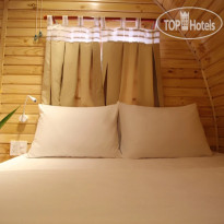 Vida Loca Resort 