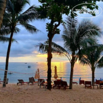 Vida Loca Resort 