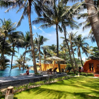 Vida Loca Resort 