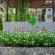 Melica Resort Phu Quoc 