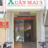 Xuan Mai 3 Hotel 