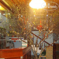 Phuong Ngan Hotel 