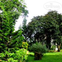 Coffee Tour Resort