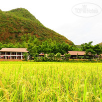 Sol Bungalows