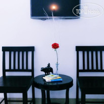 Phong Luu Hotel