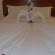 Botanic Hotel 