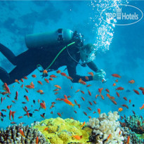 The Art Nest Hotel - Nha Trang