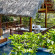 L Alya Ninh Van Bay 