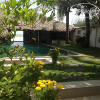 Green Organic Villas