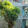 Bach Duong Hotel 