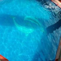 Venus MuiNe Hotel