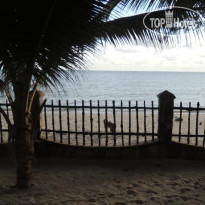 Hoa Bien Seaflower Guesthouse