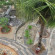 Song Hien Hotel 