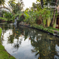 Terracotta Resort & Spa 