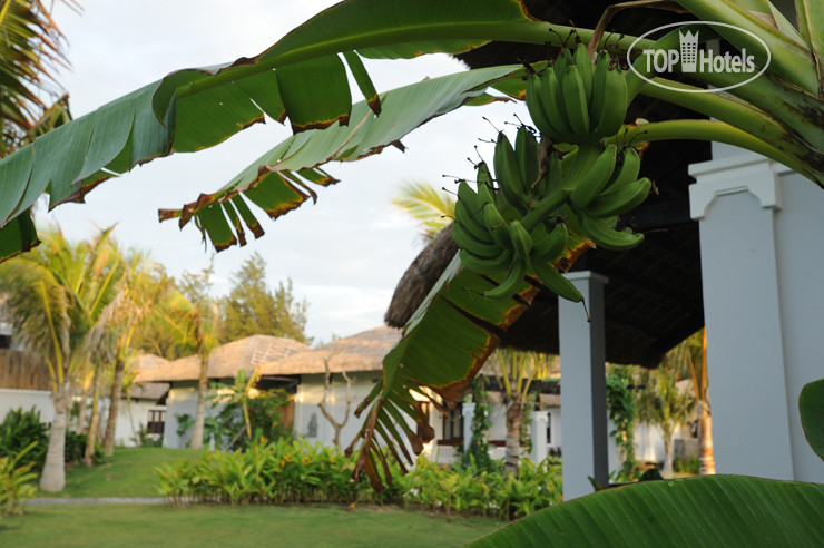 Hotel photo Muine Bay 4*