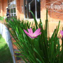 Apricot (Bau Mai) Resort 