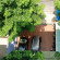 Ky Hoa Guest House 